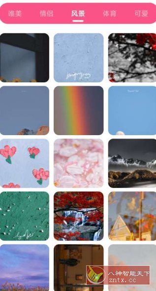 皮皮壁纸 v1.3纯净版
