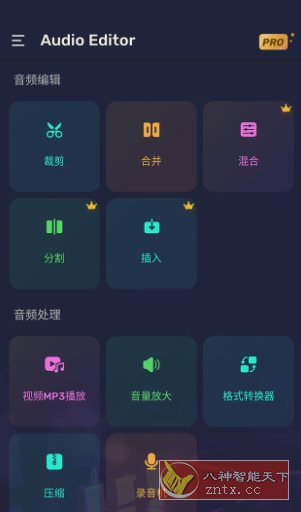 Audio Editor Pro Pro音频编辑器v1.01.72.0623专业版
