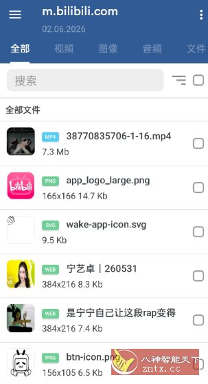 GetThemAll全能下载器3.6.5