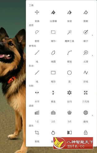 无限绘画 6.4.9.1高级高级版