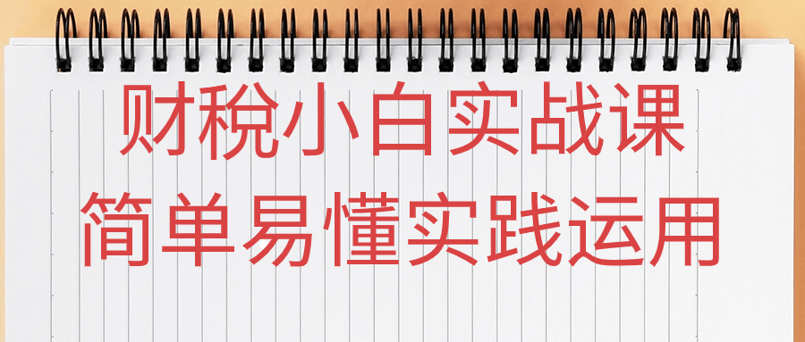 财稅小白实战课简单易懂实践运用-趣奇资源网-第5张图片