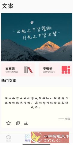 文案大师 v1.0纯净版