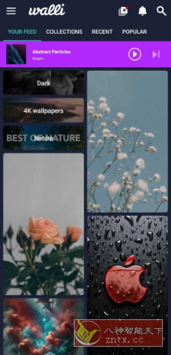 Walli Pro 4K壁纸 2.12.89高级版