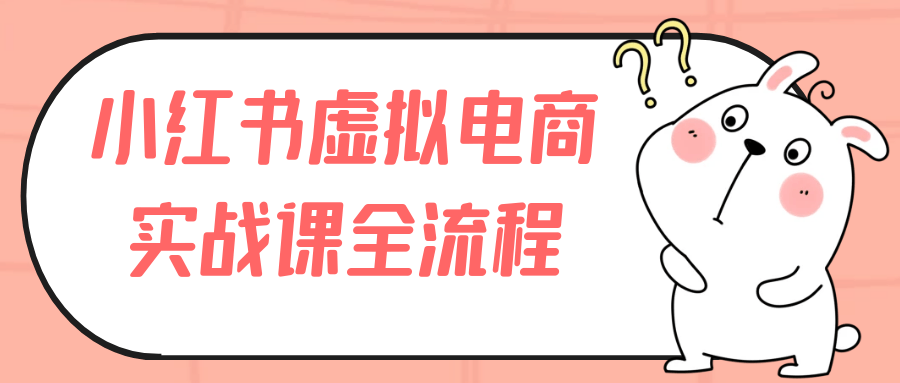 小红书虚拟电商实战课全流程-趣奇资源网-第5张图片