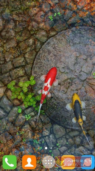 Water Garden Live Wallpaper 锦鲤3D动态壁纸2.08专业版