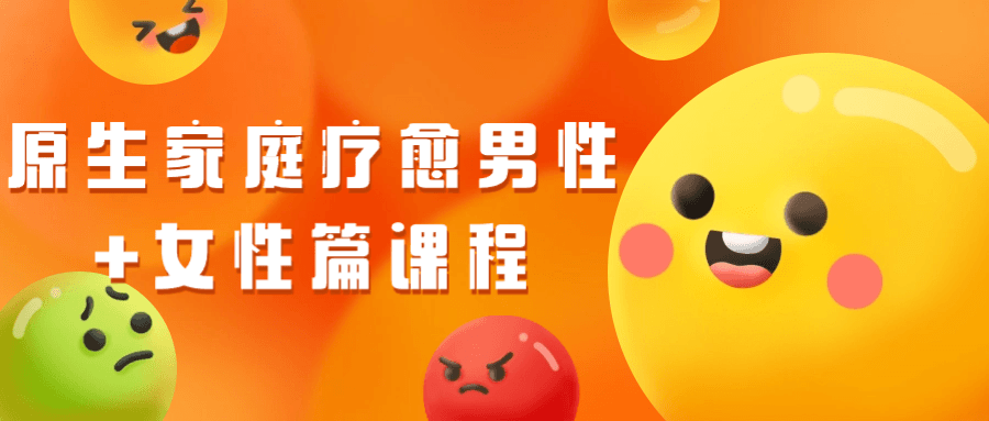 原生家庭疗愈男性+女性篇课程-趣奇资源网-第5张图片