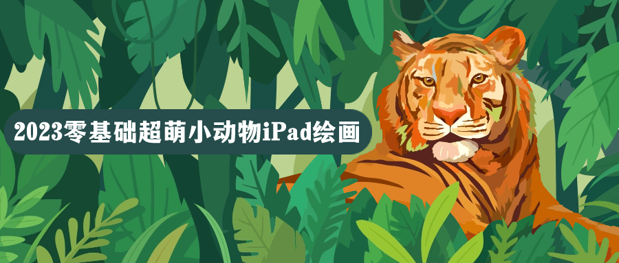 2023零基础超萌小动物iPad绘画-趣奇资源网-第5张图片