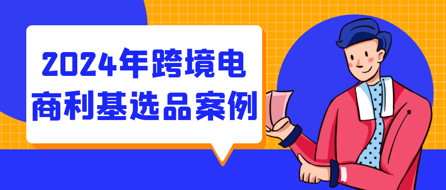 2024年跨境电商利基选品案例-趣奇资源网-第5张图片