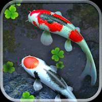 Water Garden Live Wallpaper 锦鲤3D动态壁纸2.04专业版 Water Garden Live Wallpaper 锦鲤3D动态壁纸2.04专业版
