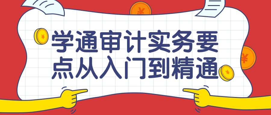 学通审计实务要点从入门到精通课-趣奇资源网-第5张图片