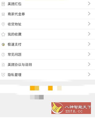 美团精简版 12.10.200