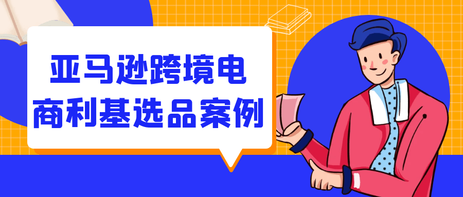 亚马逊跨境电商利基选品案例-趣奇资源网-第5张图片