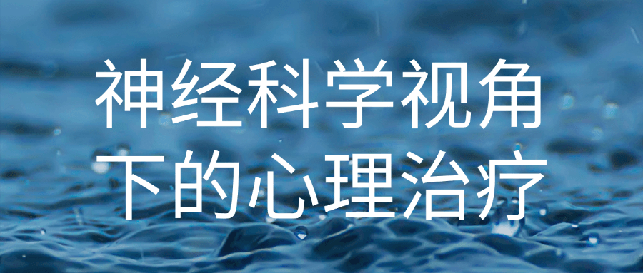 神经科学视角下的心理治疗-趣奇资源网-第5张图片