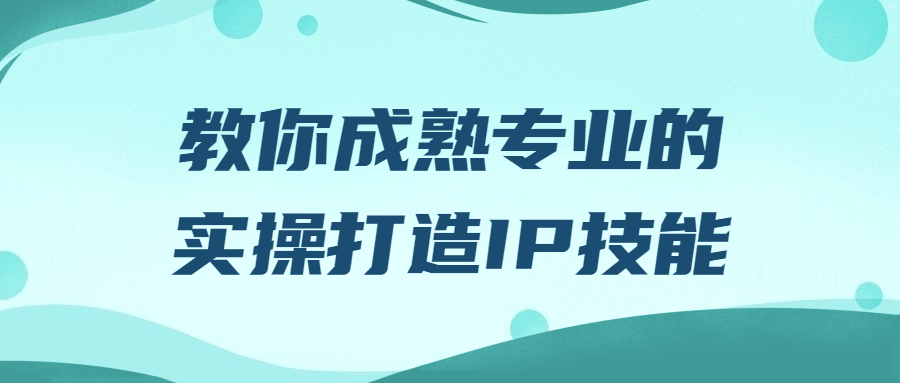 教你成熟专业的实操打造IP技能-趣奇资源网-第5张图片