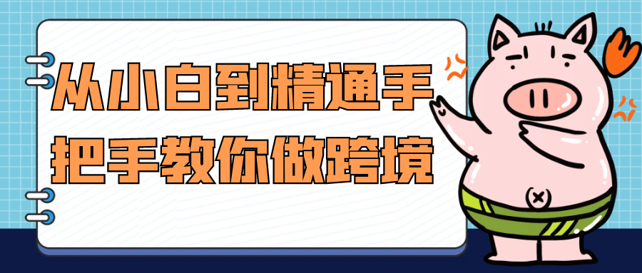 从小白到精通手把手教你做跨境-趣奇资源网-第5张图片