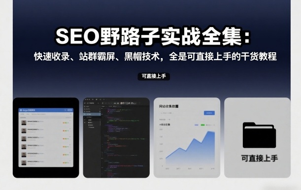 SEO野路子实战全集:快速收录、站群霸屏、黑帽技术,全是可直接上手的干货教程 SEO野路子实战全集:快速收录、站群霸屏、黑帽技术,全是可直接上手的干货教程