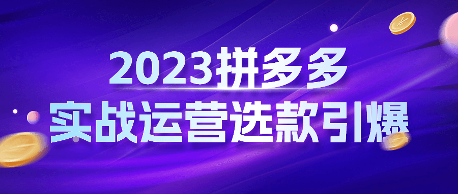 2023拼多多实战运营选款引爆-趣奇资源网-第5张图片