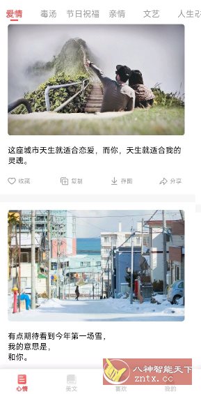情感语录24.7.21纯净版