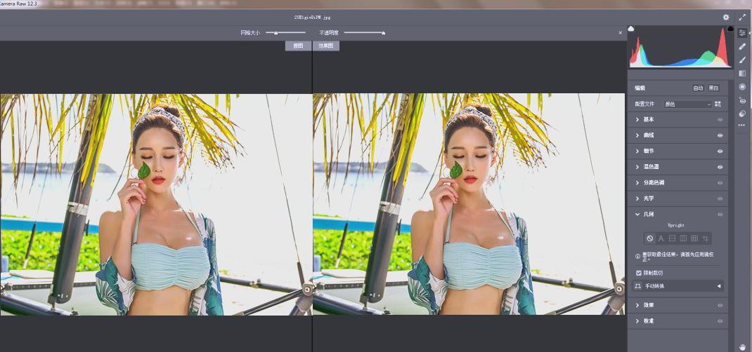 RAW处理Adobe Camera Raw v18.3.0中文版 RAW处理Adobe Camera Raw v18.3.0中文版